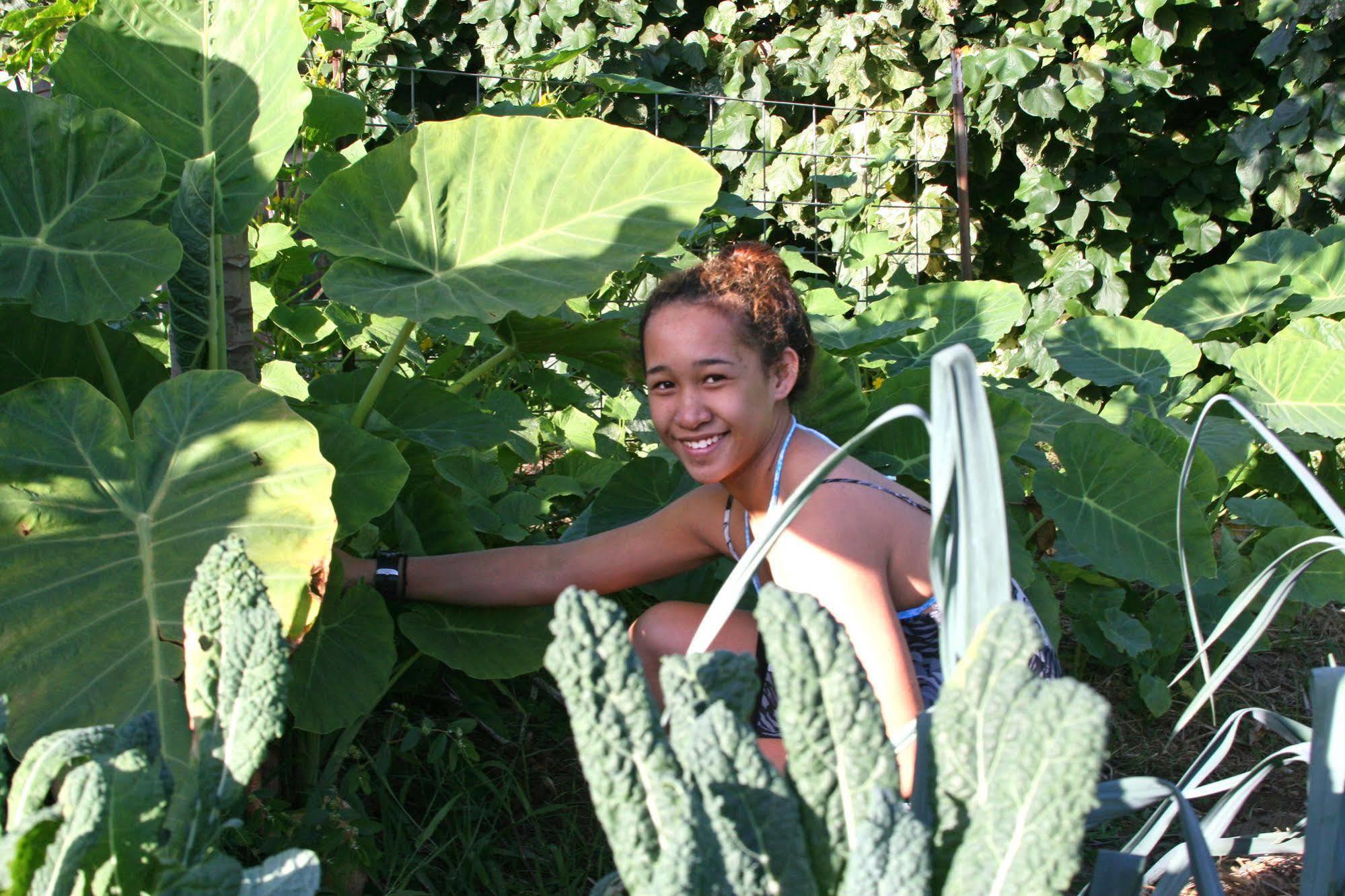 Willa Hawaii Island Retreat At Ahu Pohaku Ho'Omaluhia Kapaau Zewnętrze zdjęcie