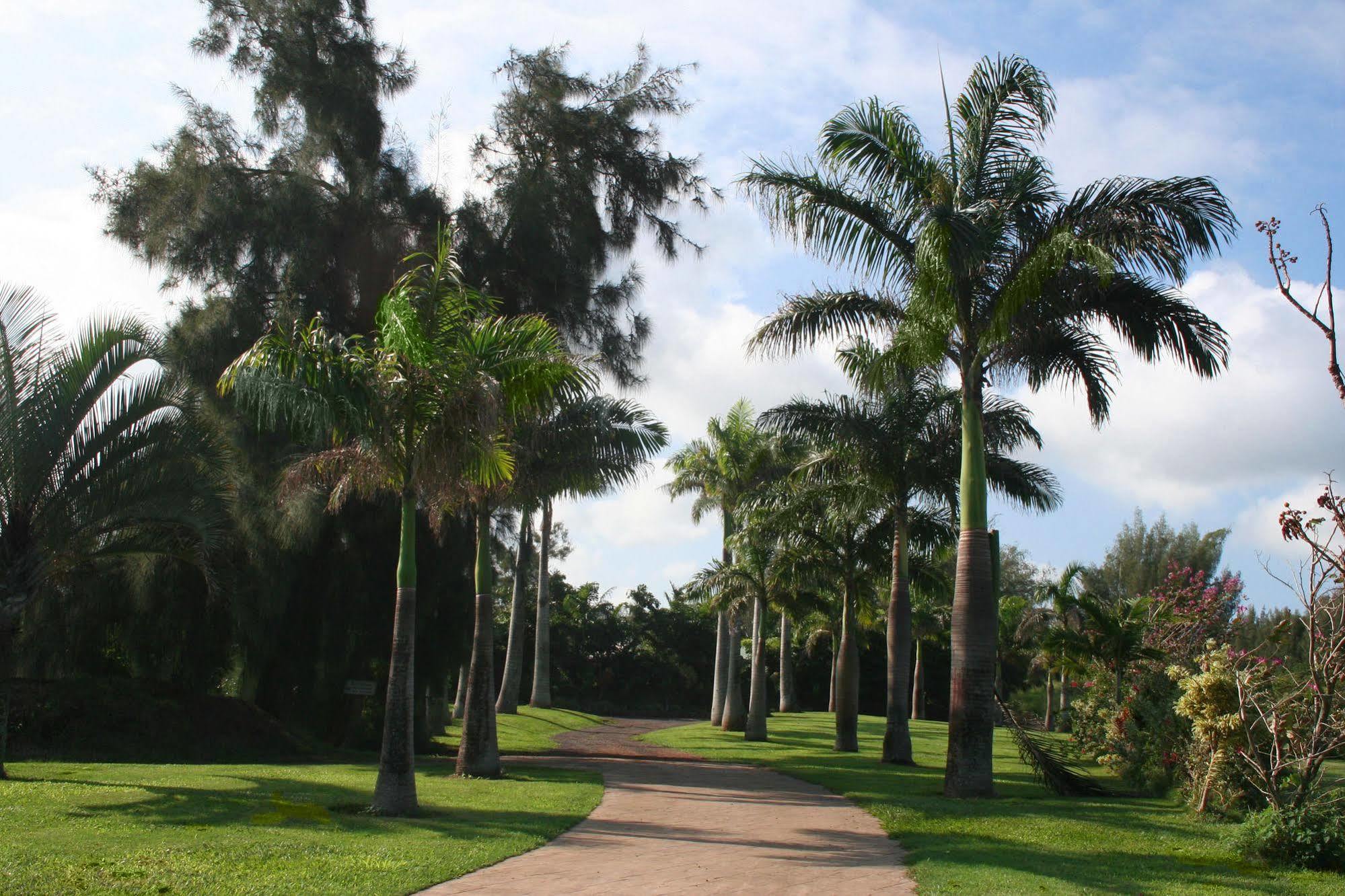Willa Hawaii Island Retreat At Ahu Pohaku Ho'Omaluhia Kapaau Zewnętrze zdjęcie